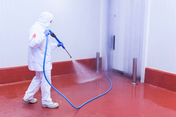 Best Winterizing Services  in Silver Lake, FL