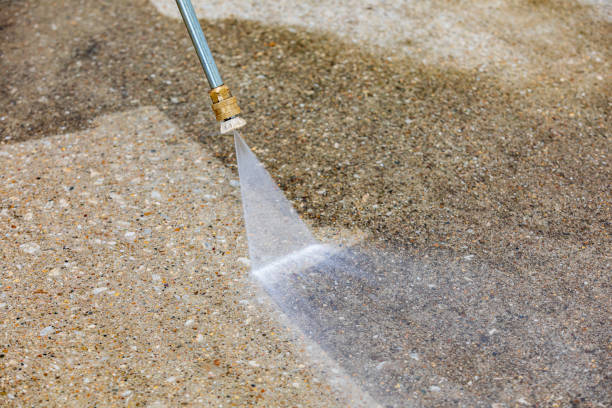Animal Enclosure Cleaning in Silver Lake, FL